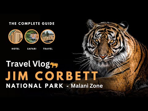 Jim Corbett National Park Uttarakhand | Malani Zone #travelvlog #junglesafari #latest #travel #vlog