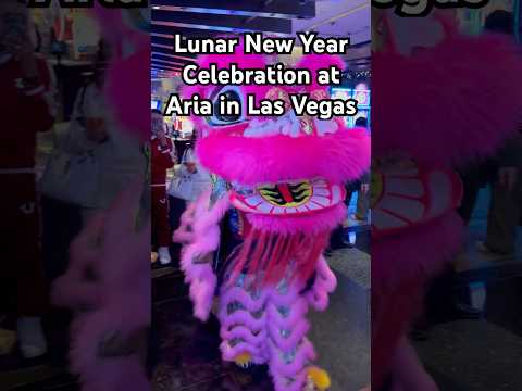 Lunar New year at Aria in Las Vegas! #lunarnewyear #lasvegas #Aria