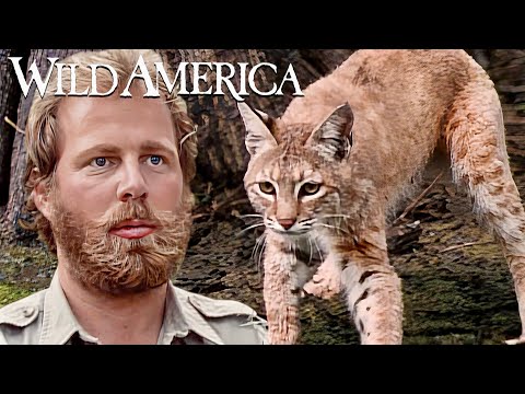 Wild America | S1 E8 Swamp Bear Part 1 | Full Episode HD