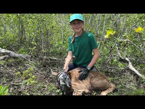 Brooke And The Baby Deer! 🙌🏻