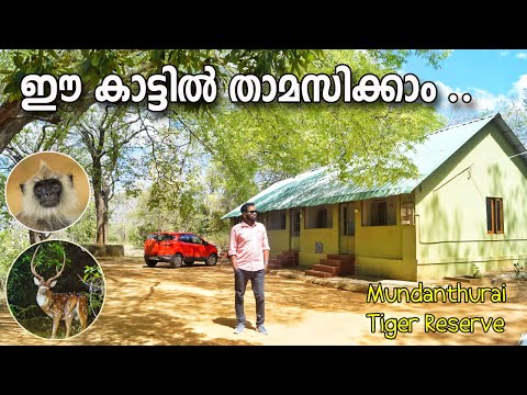 KALAKKADU MUNDANTHURAI TIGER RESERVE II JUNGLE STAY II 1200 രൂപയ്ക്ക് 4 പേർക്ക് താമസിക്കാം Part - 1