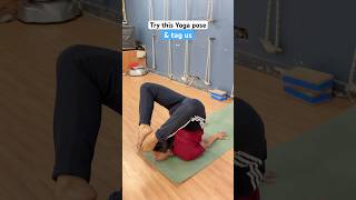 Iyengar yoga asanas… #iyengaryoga #yogadaily #yogadaily #yogamsic #yogabeginners #viralshort #short