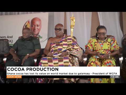 COCOA PRODUCTION: Ghana cocoa has lost its value on world market due to galamsey - President of WCFA