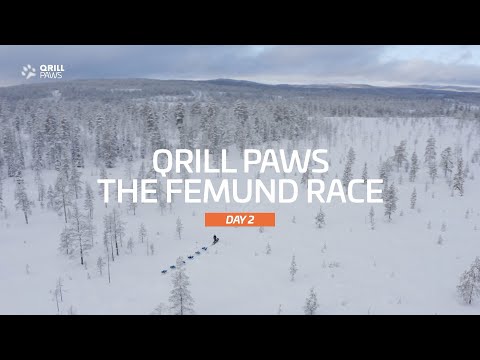 Femundløpet Highlight | DAY 2 | QRILLPAWS 2022