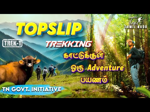 Adventurous Topslip Trekking in Forest😍🔥 | Pandaravarai Trek | How to get Permission & Details