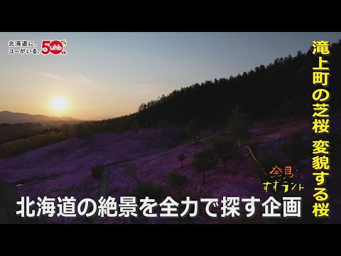 【北海道絶景】2つの顔を持つ滝上町の芝桜！