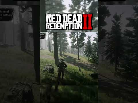 Red Dead Redemption 2 - Legendary Buck had a hearth attack