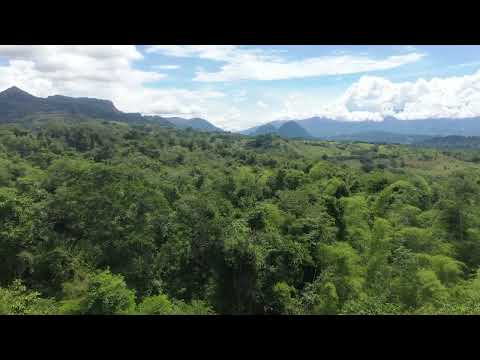 Origen Suroeste Antioqueño - Lotes Bosque Etapa Farallones (10, 11 y 12)