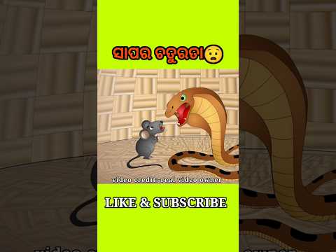 ସାପର ଚତୁରତା😱 #shorts #youtubeshorts #odiagapa #natia #odiacomedy #odiamoralstory #kahani