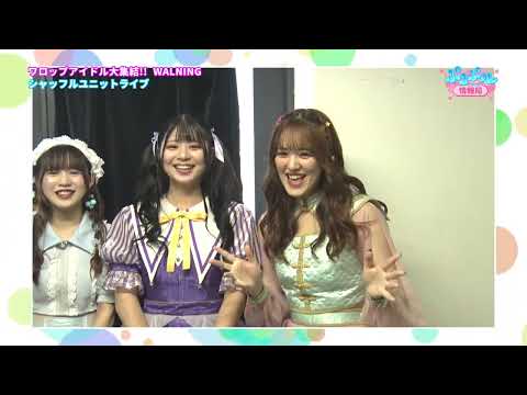 【チバテレ】「ぷるぷル情報局」#24（2023.9.11 OA）「WALNING〜夏真っ最中、横浜編〜Part2」