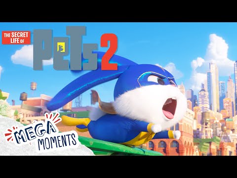 Snowball The Superhero! | The Secret Life of Pets 2 | Compilation | Movie Moment | Mega Moments