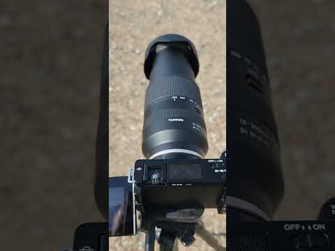 Tamron 18-300mm vs Samsung S22 Ultra