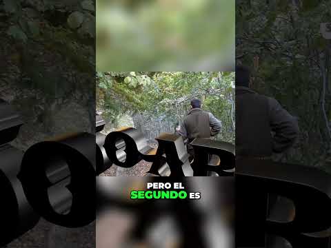 🇪🇸🐗¡Cazando con Éxito! El Héroe Silencioso en Acción