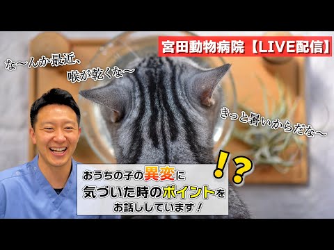 宮田動物病院 ライブ配信【MAHチャンネル】