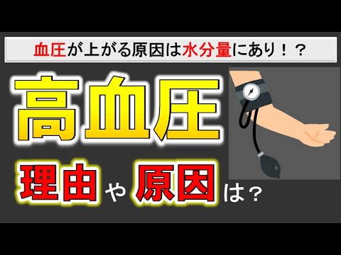 【改良版】高血圧の原因や仕組みとは？実は水分量も関係が⁉