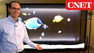 LG Transparent OLED Turns From TV Into Animated Art