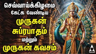 Tuesday Murugan Powerful Bakthi Padalgal | Murugan Devotional Songs