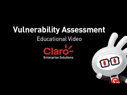 ⭕️ Vulnerability Assessment | Claro Enterprise Solutions Vulnerability