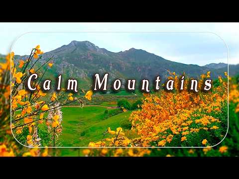 Calm Mountains | Healing Frequency of Ancient Mountain 🌻 Positive Energy Morning Ambience Meditation