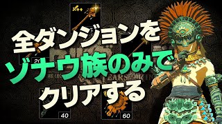 オールダンジョン装備縛り攻略解説『ゾナウ族編』【ゼルダの伝説 ティアーズ オブ ザ キングダム】