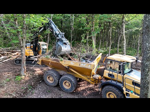 Clearing small trees