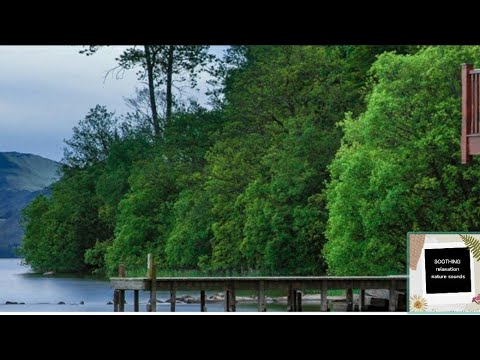 SOOTHING |CALMING |relaxing| fast asleep nature forest sound 2021