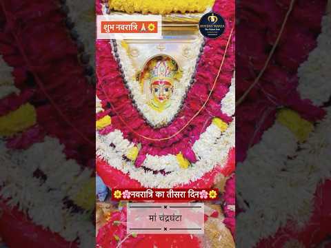 Navratri Special - Chandraghanta Maa| #navratri2024 #durgamaa #durgamastatus #vaishnodevi #darshan