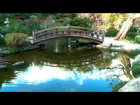 Zen Garden - Winter Reflection Mindfulness, Relaxation, Chill