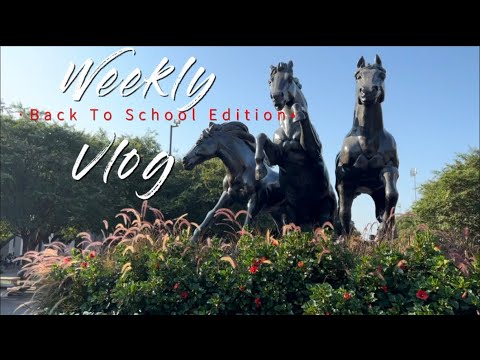 FIRST WEEK OF SCHOOL| WEEKLY VLOG| Transfer Student| F1 visa student 🇿🇦🇺🇸