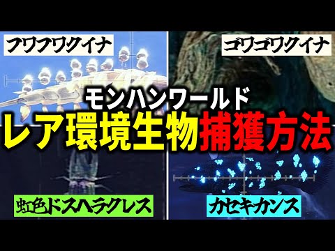 【MHW:I】[カセキカンス/フワフワクイナ/ゴワゴワクイナ/虹色ドスヘラクレス]レア環境生物の捕獲方法まとめ。トロコン解説、3話。