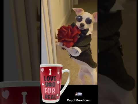 Valentines Day Blind Date #valentinesday #valentine #cupofmood