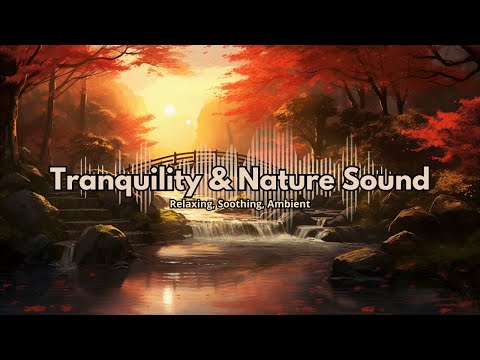 New Age Tranquil Soft Piano | Calming Nature Sounds | Relaxing Music, Peaceful Music, Stress Relief.