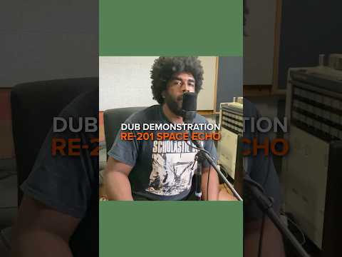 Make a dub song using Roland's RE-201 Space Echo software! By Urian Hackney