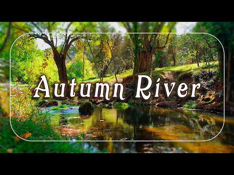 Serene Autumn Morning by the River🍂Healing Frequency | Nature Sounds of Birds & Gentle River Flowing