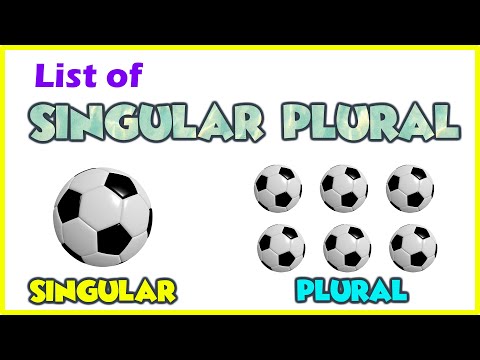 Learn English | 50 List of Singular and Plural Nouns | English Vocabulary for Kids | @AAtoonsKids