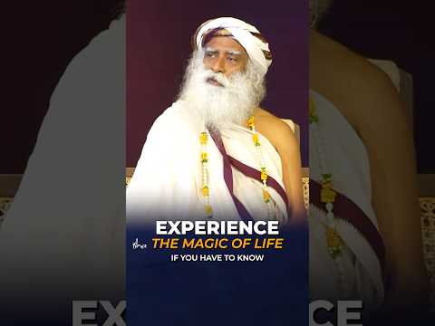 Experience The Magic of Life