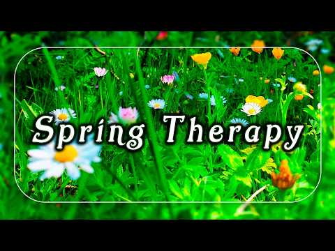 ✧˖𓍢ִ⁠໋🌷͙֒ SPRING THERAPY˖𓍢ִ⁠໋🌷͙֒✧Healing Frequency Positive Energy🌿🌞Gentle Breeze on a Fresh Morning