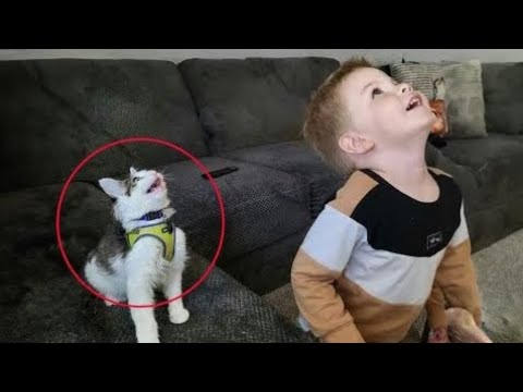 😆❤️_Funny_Dog_And_Cat_Videos_Best_Funny_Animal | Wait for end  🤣🤣🤣  | New Funny Videos 2025 Part 4