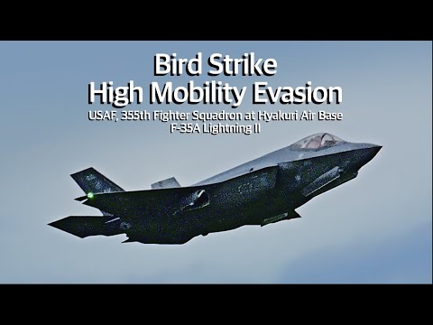 [百里基地] 米空軍F-35 ローアプローチ中 バードストライクを高機動回避　USAF, 355th FS / F-35A　Bird Strike High Mobility Evasion