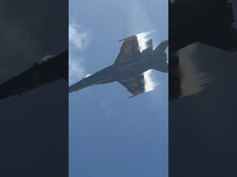 Blue Angels F-18 super hornet engages stealth mode mid flight 😱 #shorts