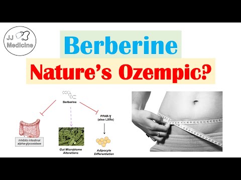 Berberine (Nature’s Ozempic?) | Weight Loss & Metabolism Findings, Mechanism of Action, Side Effects