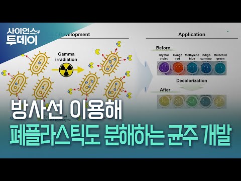 방사선 이용해 폐플라스틱도 분해하는 균주 개발 / YTN 사이언스