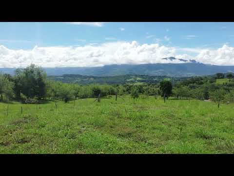 Lote 030- Origen Suroeste Antioqueño - Video 360° Etapa Farallones