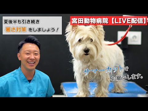 宮田動物病院 ライブ配信【MAHチャンネル】