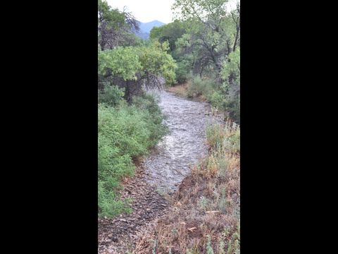 A gentle flood. Turkey Creek starts running at 6 AM sunrise July 30 2024