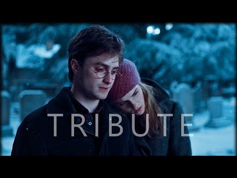 Harry Potter || Tribute