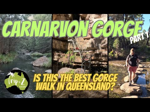 Carnarvon Gorge Part 1 Is this the best gorge walk in Queensland? | we stay at Sandstone Park - Ep47