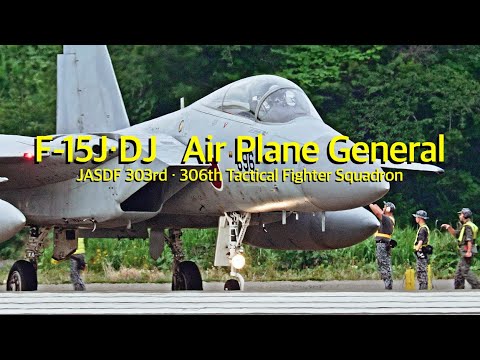 [ASMR 百里基地] もうF-15 イーグルネスト状態 !! 小松基地から移動訓練　　ベテランAPG(航空機整備員)　F-15 Eagle Air Plane Generals