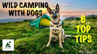 Wild Camping With Dogs, 6 Top Tips