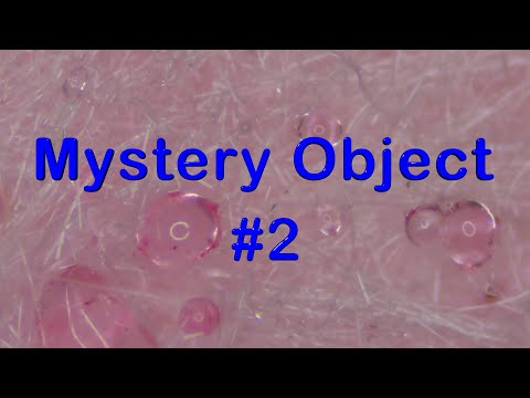 Mystery Object # 2  - Microscope Learning Video Mage Math